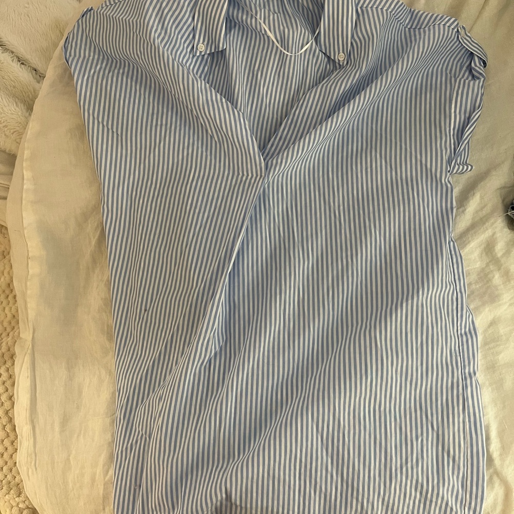 Zara Button Down Dress - Picture 3 of 3